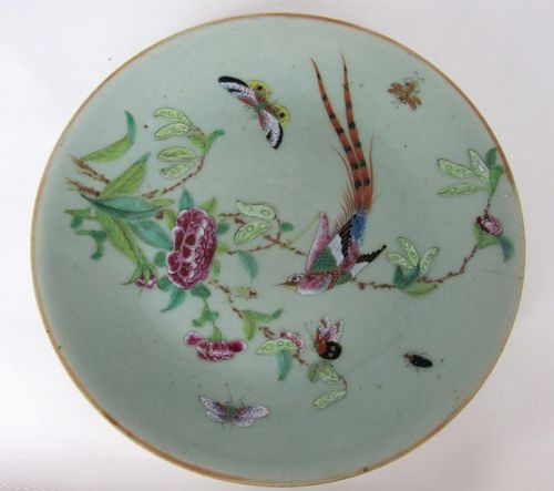 Large Chinese Celadon Porcelain Plate with Insects, Daoguang  MK